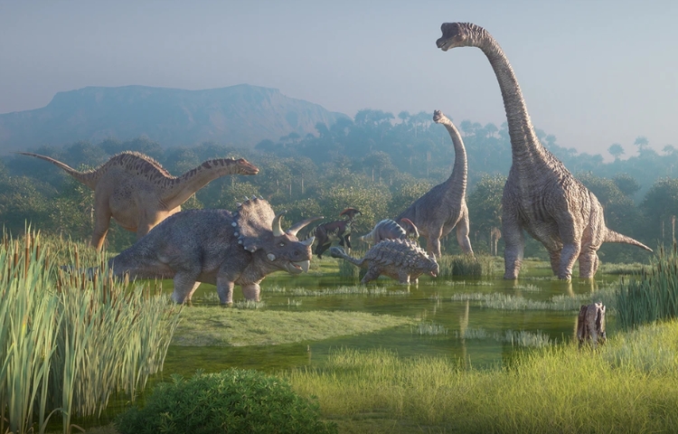 Descubren vestigios de dinosaurios en Tehuacán, Puebla