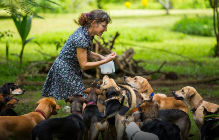 Síndrome del Arca de Noé: el trastorno que confunde amor por mascotas con maltrato