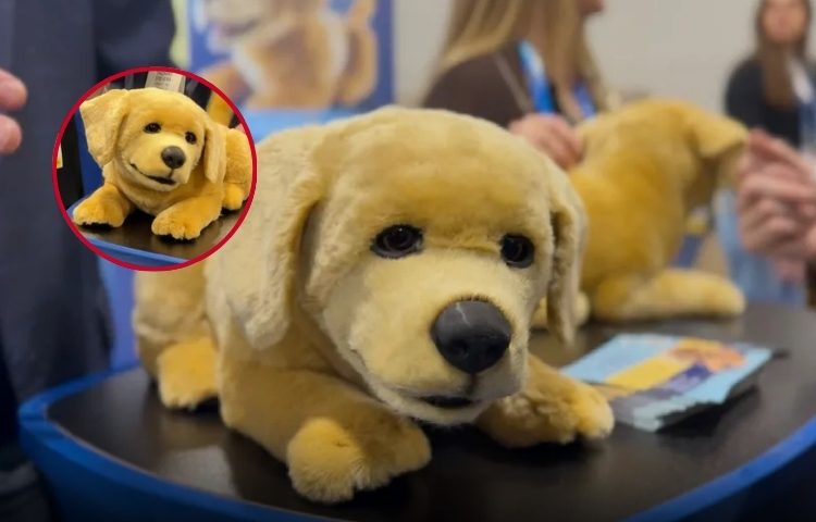 Tombot Jennie: el perro robótico que busca convertirse en compañía emocional