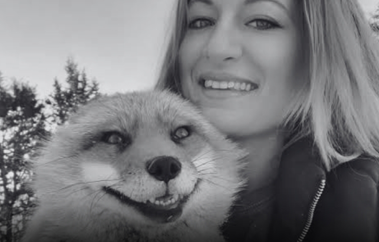 Finnegan, el zorro viral, fallece meses después de la muerte de Mikayla Raines