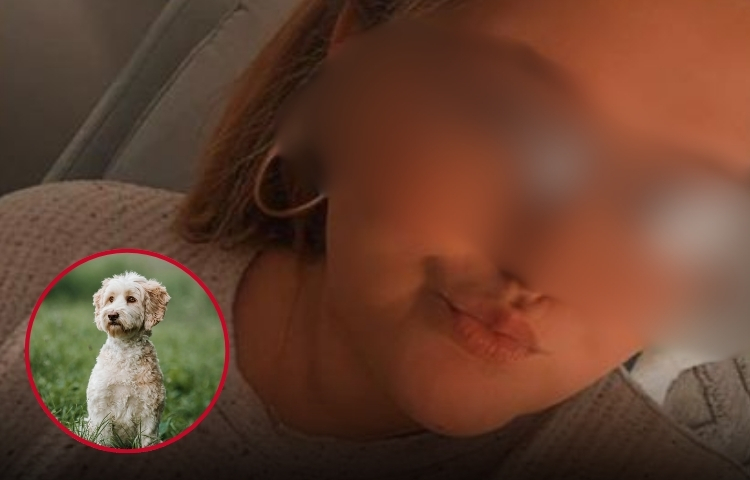 Mujer protege a un perrita abandonada del hielo y se mete en líos legales